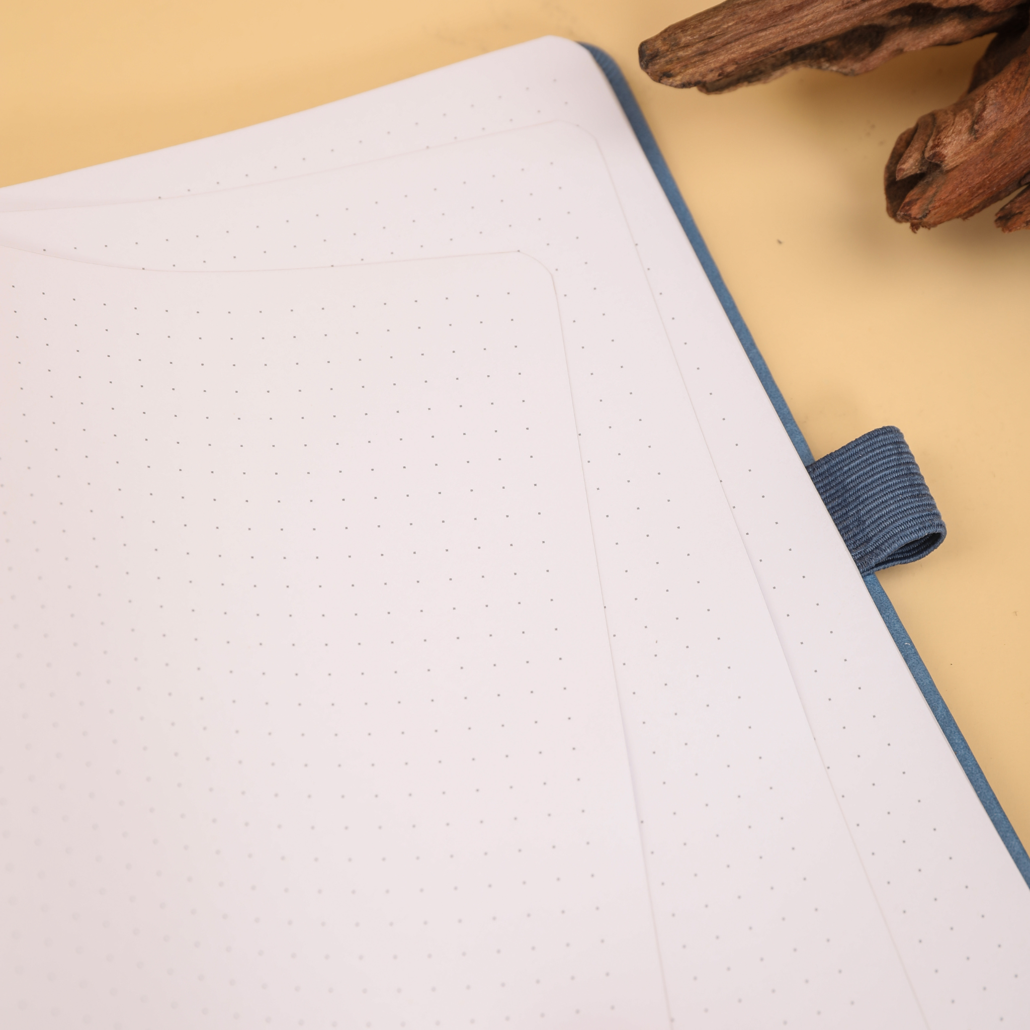 8x8 Square Wetlands Dot Grid Notebook - Sky Blue