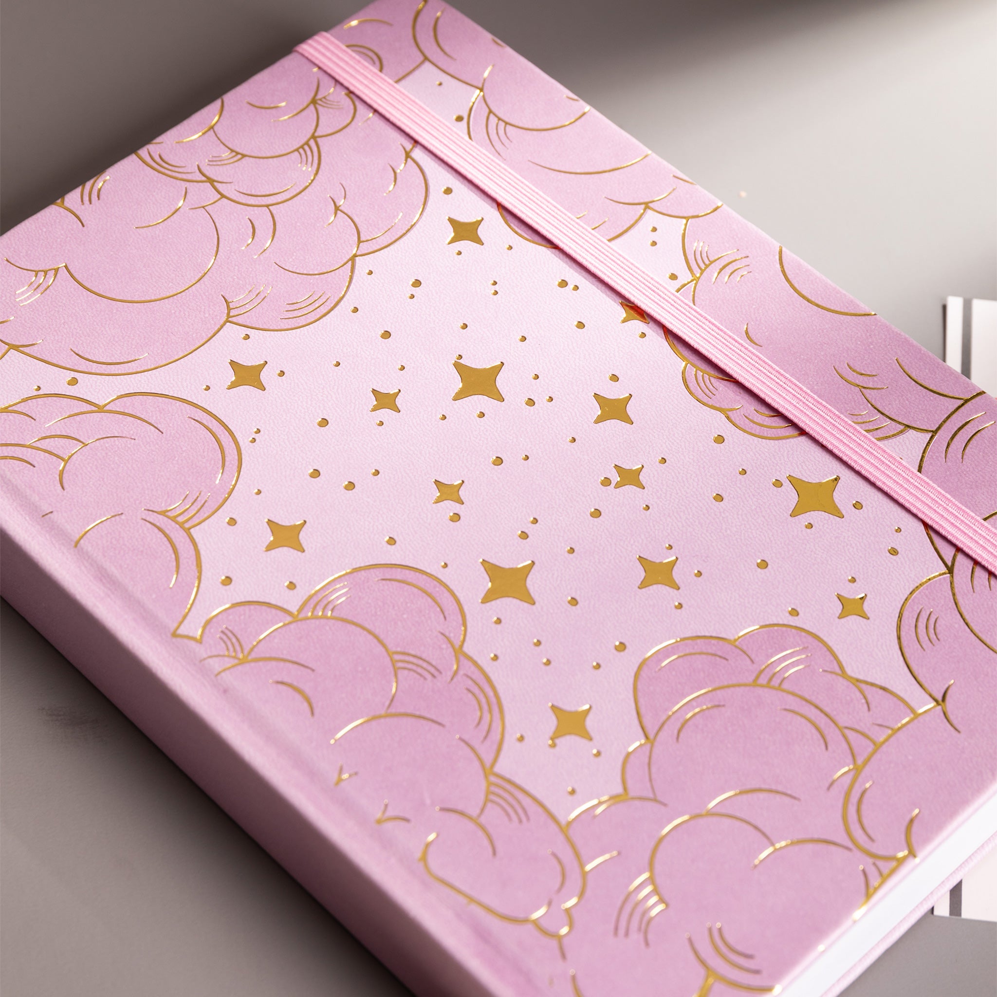 A5StarrySkyDotGridNotebook-Pink_5.jpg