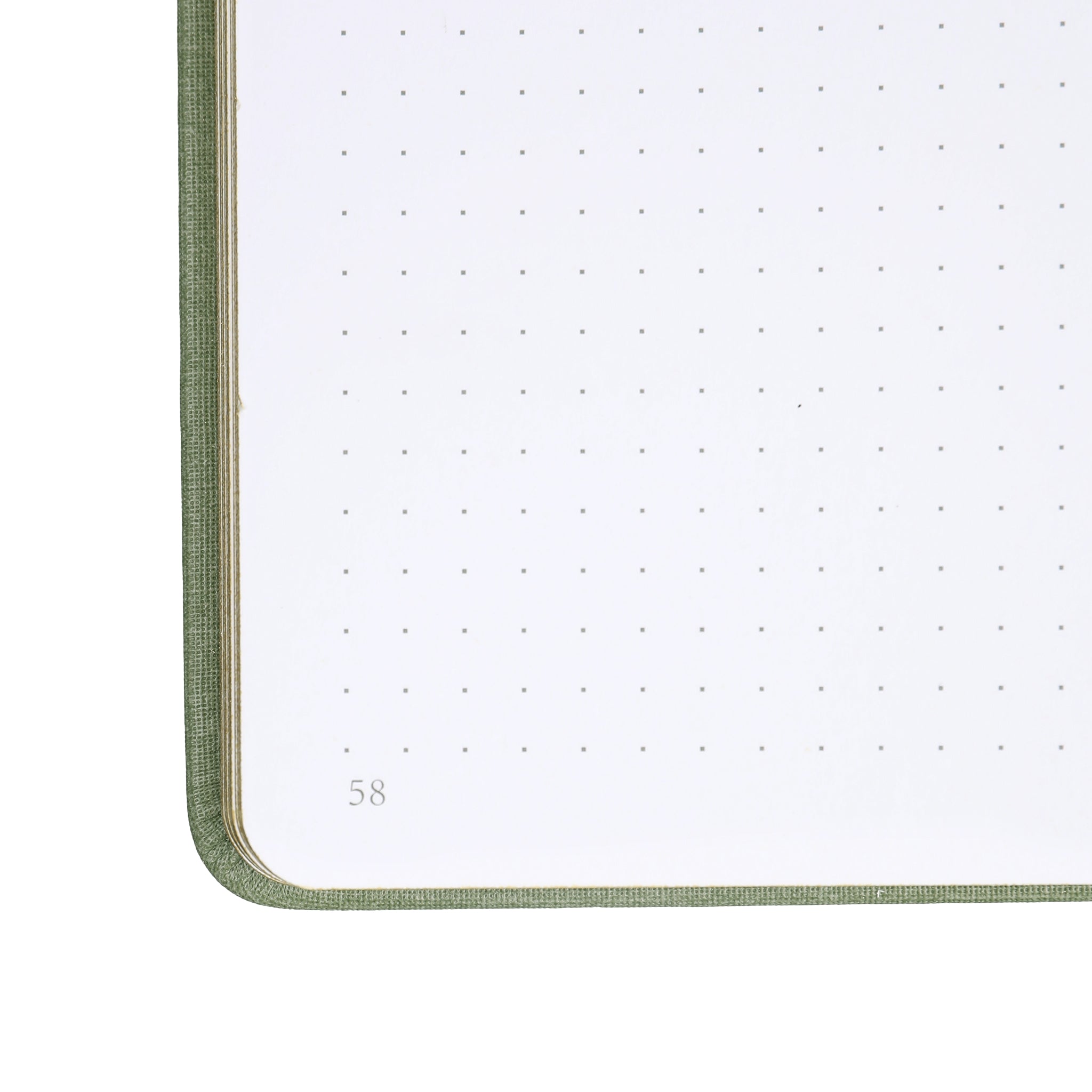 B5GoldVintageDotGridNotebook-Green_8.jpg