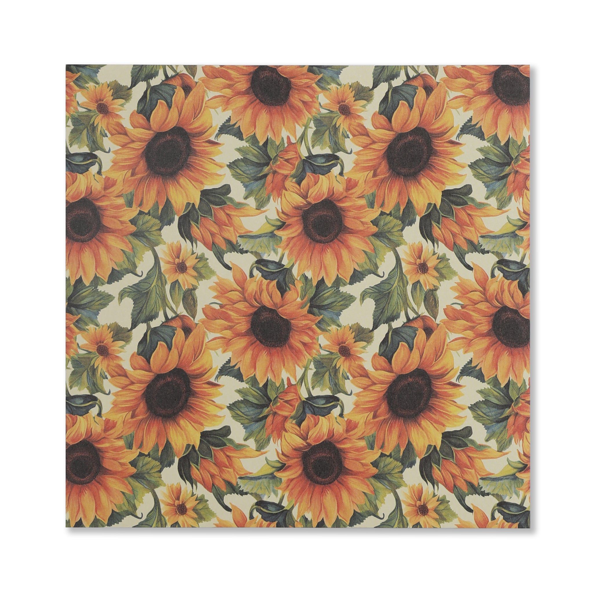 FlowerInTheSunshineScrapbookPaper-12Sheets_6.jpg
