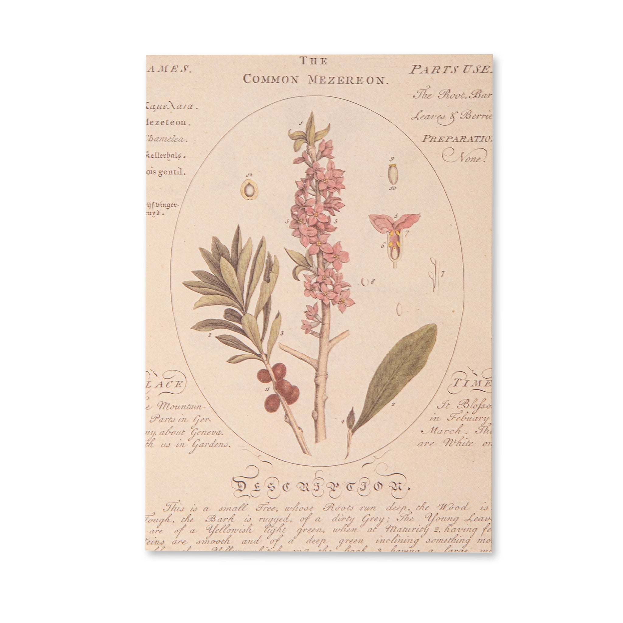 VintageScrapbookingPaperPad-Flowers_16.jpg