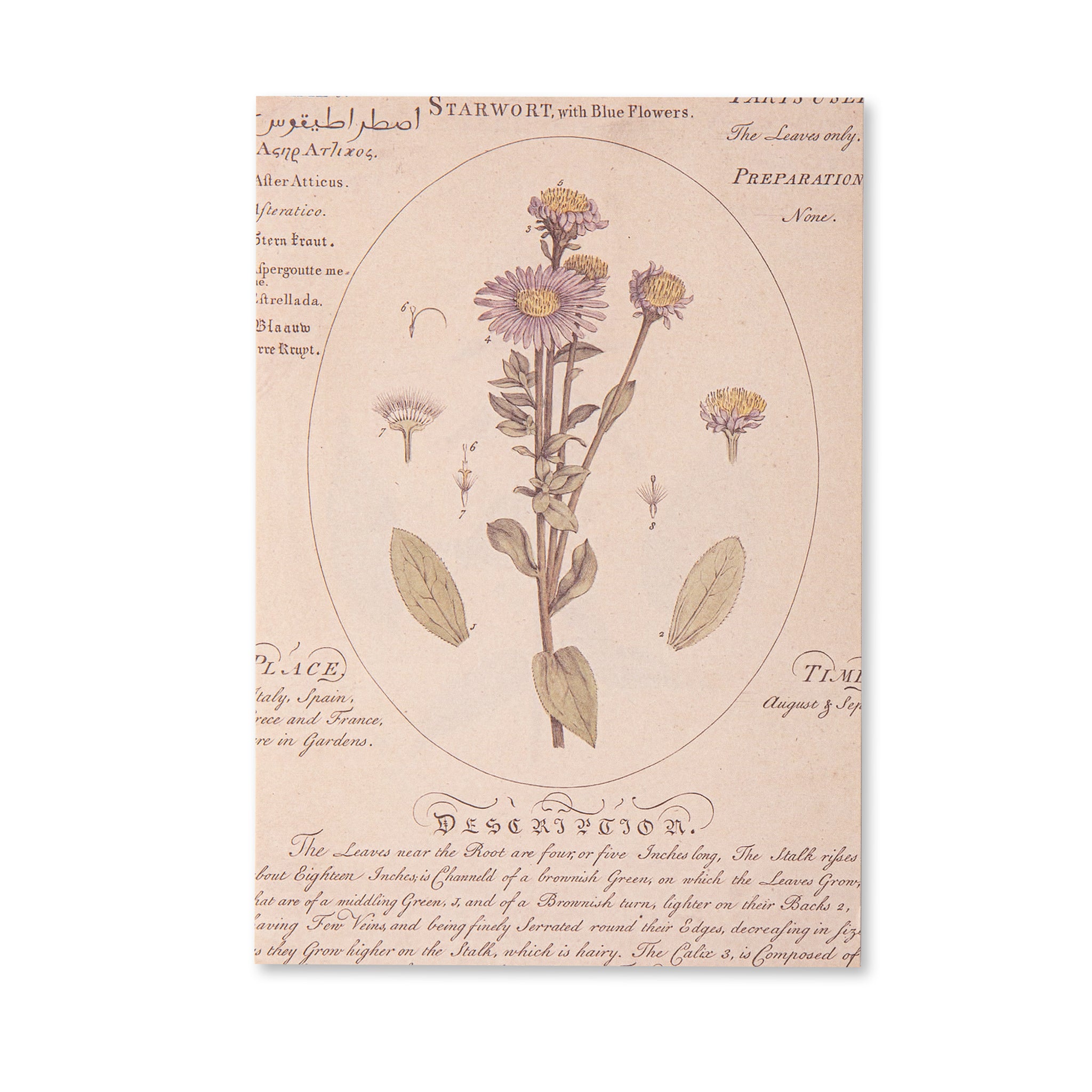 VintageScrapbookingPaperPad-Flowers_9.jpg