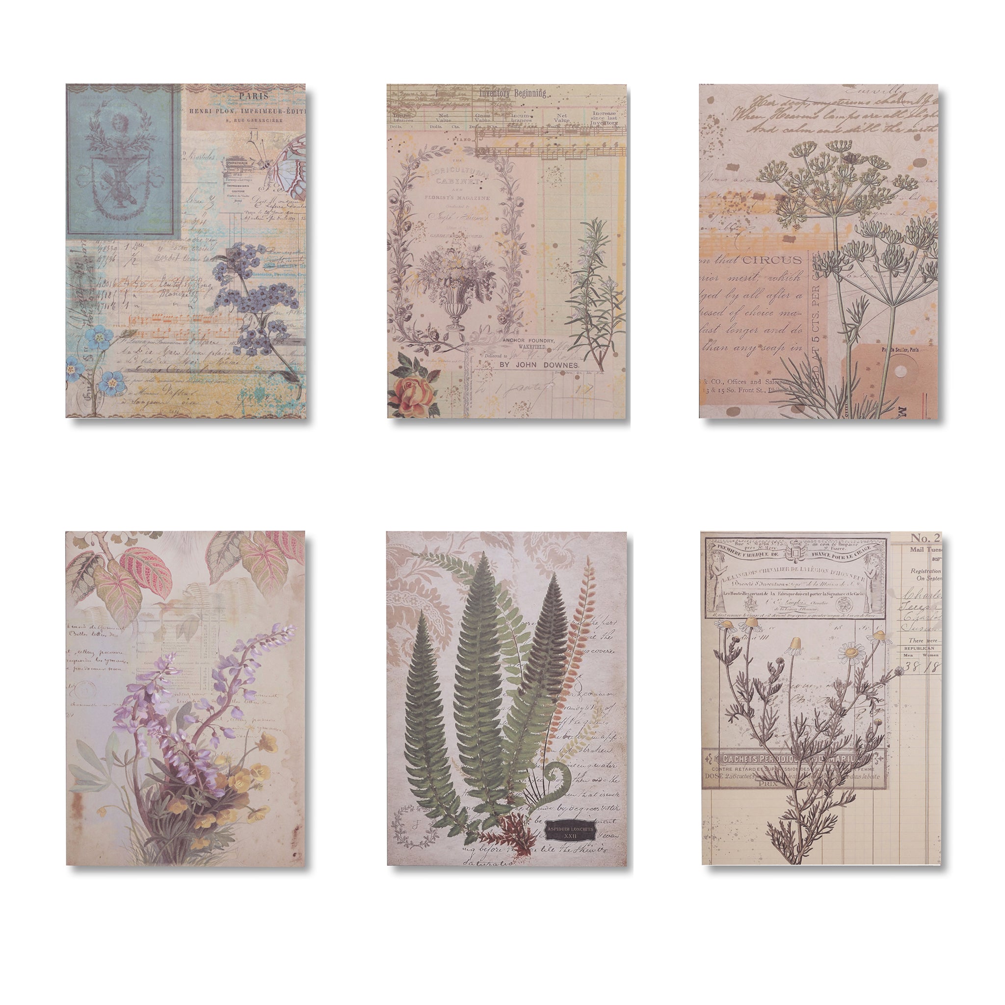 Vintage Scrapbook Paper Pad - Plant Collection - 30 Sheets