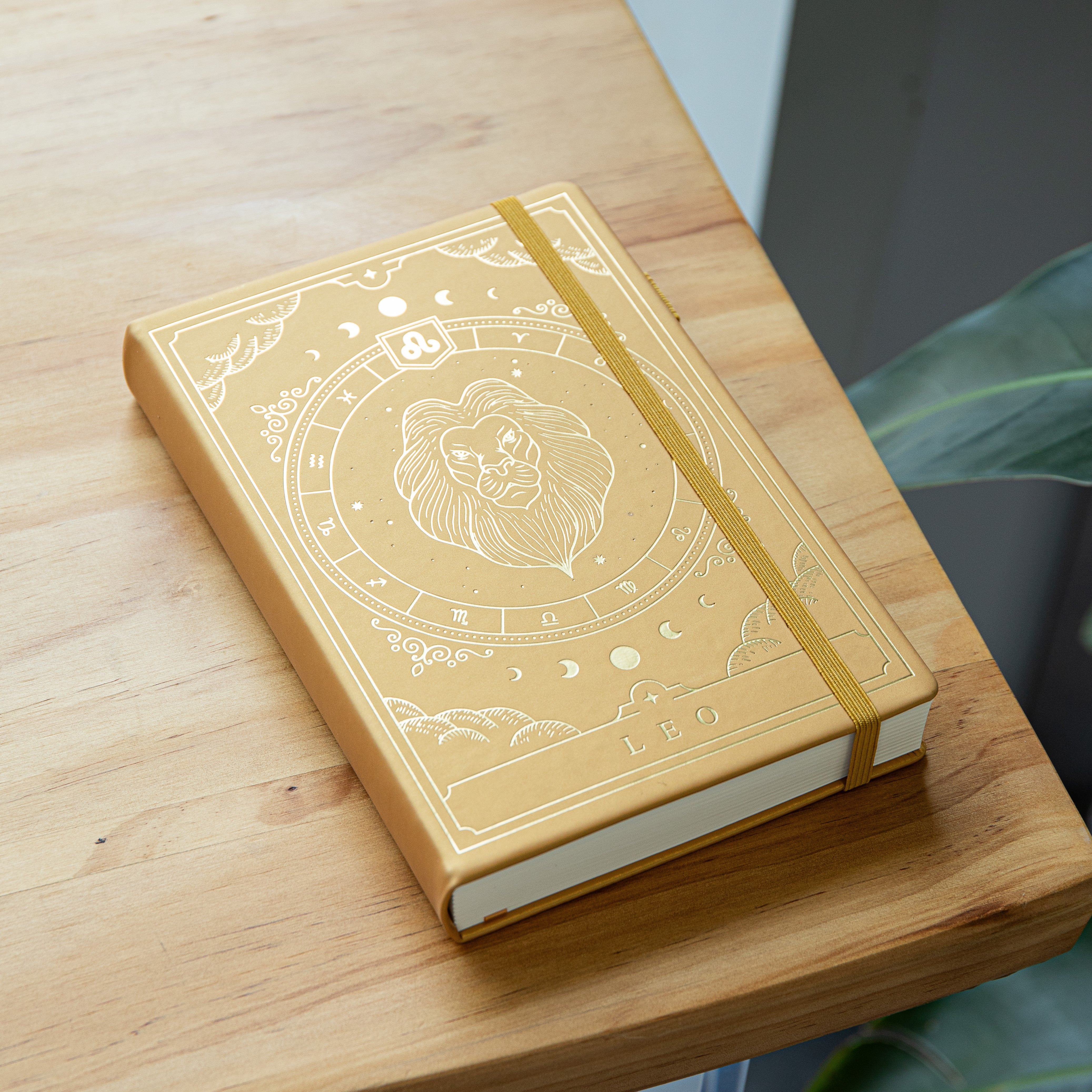 Professional Zodiac Themed Journal