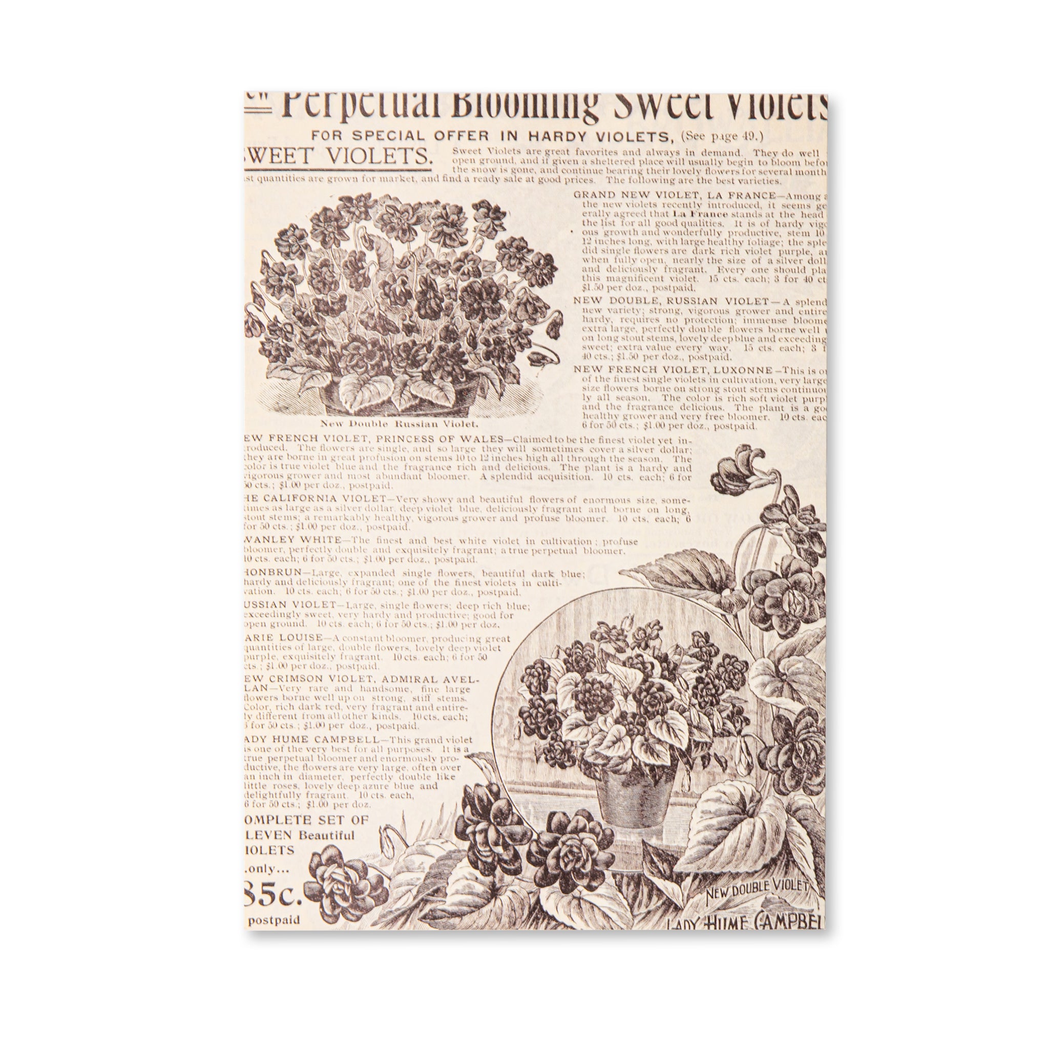 Vintage Premium Scrapbook Paper Pad